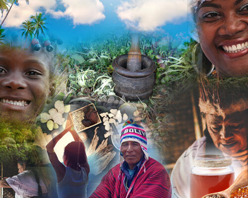 Curso Medicina Indígena Americana On Line